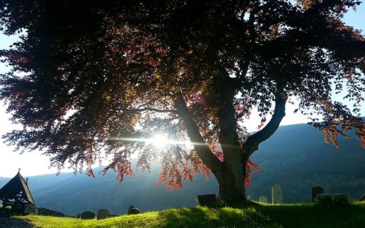 If Widowhood Happened Tomorrow, Would You Be Prepared?