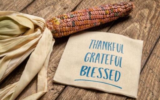 Happy Thanksgiving: Here’s What We’re Grateful For