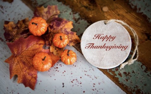 Finding Gratitude This Thanksgiving Season